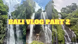 BALI BALAYI VLOG PART 2 | Banyumala, Fiji, Sekumpul Waterfalls Virtual Experience