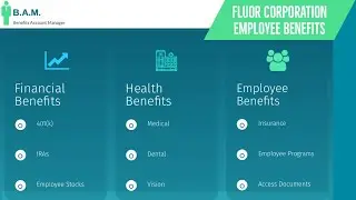 Fluor Corporation Employee Benefits | Benefit Overview Summary