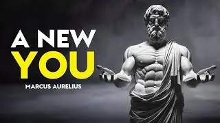 Stoic Principles That Can Instantly Shift Your Perspective and Transform Your Life