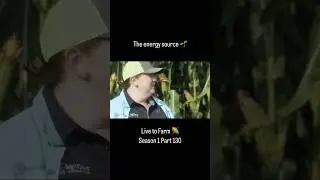 🌽 The energy source! #farming
