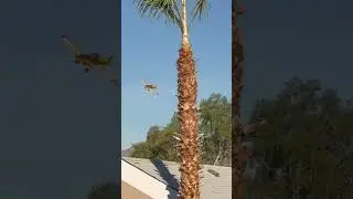Thrush crop duster over congested area