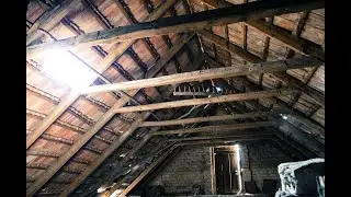 Seasonal Home Maintenance DIY and Attic Inspection