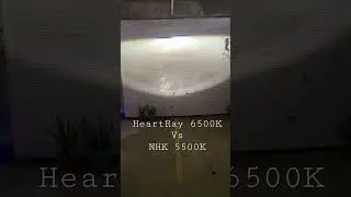 HID NHK Blue Edition 5500K  VS HeartRay Gen 4 6500K in NHK G5 BRT Projectors