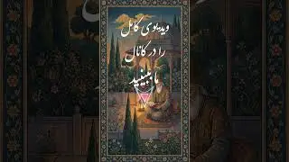 سعدی و اخلاق انسان در گلستان