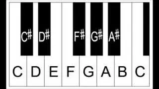 Piano Lesson - The Sharp Sign, Sharp Notes and Half Steps