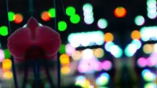 Bananas & Pears (Garden Listener, Qu-Bit Data Bender, Prism, Morphagene, Knit, SWN & Behringer 2600)