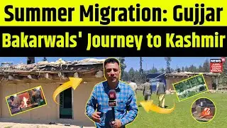 Summer Migration - Gujjar Bakarwals' Journey to Kashmir | Jammu Kashmir | Rural India | N18V