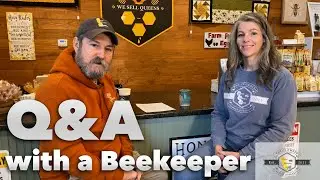 Winter Beekeeping Q&A with a Professional Beekeeper (2023)