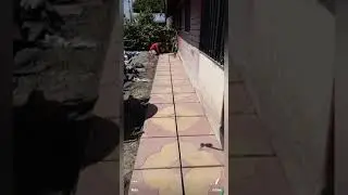 Renovando pizo