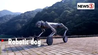 Robotic dog, tampok sa World Artificial Intelligence Conference sa China