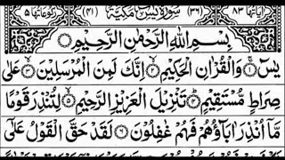 Surah Yasin | Episode 132 | quran tilawat |Daily Quran Tilawat Surah Yaseen Surah Rahman full HD 