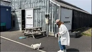 【SABOSABOSTOREさんに行ってきました！】動画62