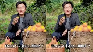 徐三娃摘老品种无核橙摆摊，到市场围满人生意火爆，看卖了多少钱#新鲜采摘 #我的乡村生活 #徐三娃 #摆摊