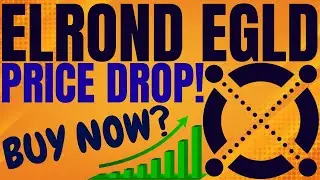 ELROND EGLD PRICE CRASH! EGLD PRICE PREDICTION AND ANALYSIS! ELRDON CRYPTO PRICE FORECAST 2022!