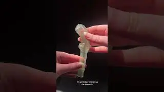 weird artefacts of the Edinburgh vaults