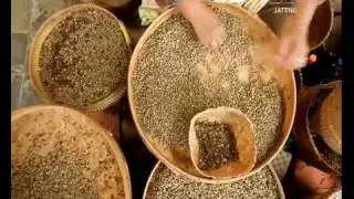 Melihat Proses Produksi di Pabrik Kopi Banaran - Liputan ANTV