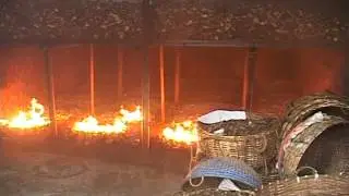 Sabarimala New Coconut Oil project by JEEVAN NEWS-EXCLUSUVE