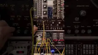 11/26/25 Metasonix S-2000 + Ladik S-143 U-202 + Blue Lantern Gate Sequencer + PV 1300 + MIDIVERB II