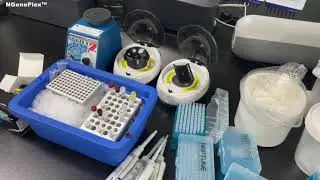 How to use COVID-19 RT-PCR test │ NGeneBio Guide