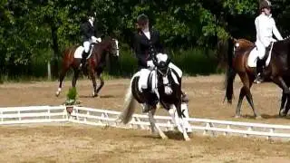 Dressurpr&uuml;fung Pony Lewitzer
