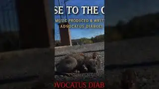 Music in the Desert Returns | New Album Release Party LIVE from the Desert