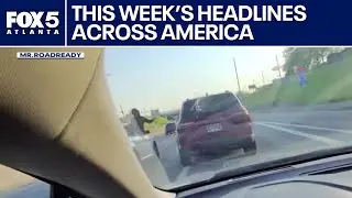 Monkey rescue, gator drama, roaches on a plane | FOX 5 News