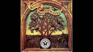 ✪ THE MOONCOIN JIG-STEELEYE SPAN ✪ chivorocknroll c.p ✪