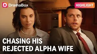 From Scorned Mate to Alpha Queen: Her Blood Roars 🐺👑| DramaBox