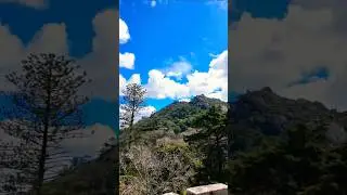 Вид з башти на замок 🏰 | Castle View from the Tower 🌄/