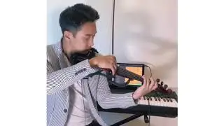Post Malone - Circle (Electric Violin with Loop Station, covered by Paul Koo)