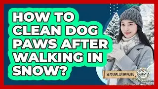 How To Clean Dog Paws After Walking In Snow?