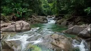 🍃 Serene River in USA Valley -Wash Away Stress: Healing River Sounds for Anxiety Relief