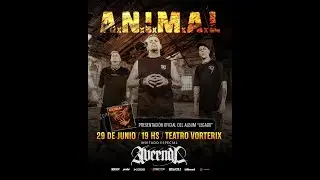 Avernal Live Argentina Buenos Aires Vorterix 29-06-2025