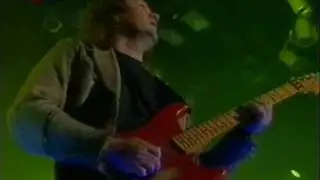 CITRON - Síla návratů