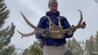 The Road to Responsible Shed Hunting