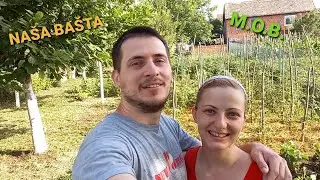 Kako izgleda ORGANSKA BASTA u junu