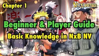 NxB NV : Beginner & Player Guide Chapter 1 | Basic Knowledge in NxB NV