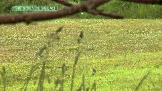 The Science Squad Series Three &ndash; Episode 1: Liver Fluke