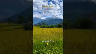 Dashain vibes in nepal #cinehub #vlog #travel #dashainvibes