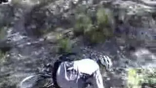 Ilan Carmel Drop off in Haruvit Forest