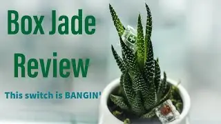 Box Jade Switch  Review - Box Jade = dope - ASMR