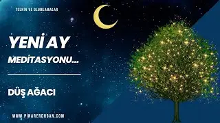 Yeni Ay Meditasyonu /// Dilek Ağacı