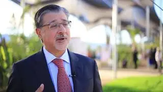 Nurturing innovation for a low-carbon future