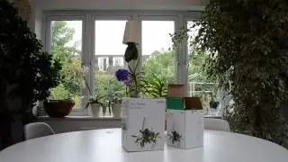 Birando | Boskke Sky Planter Recycled Planting guide