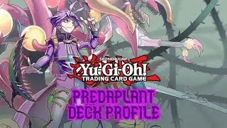 Профиль колоды Yu-Gi-Oh! Predaplant, май 2020 г.