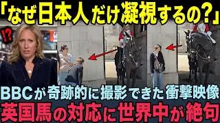 【海外の反応】「日本人は動物に愛されてるの？」BBCが奇跡的に撮影できた衝撃映像。近衛兵の馬に日本人が近づいた瞬間の出来事に世界が絶句！