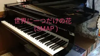🌺道子ピアノチャンネル🌺SMAP 「世界に一つだけの花」2003年作品