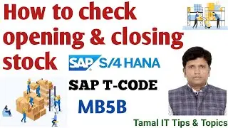 How to Check Opening & Closing Stock in SAP | SAP Stock Overview on Posting Date | SAP T-CODE: MB5B