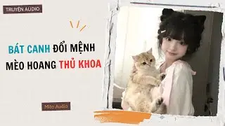 [ AUDIO ] B&Aacute;T CANH ĐỔI MỆNH: M&Egrave;O HOANG THỦ KHOA - Full | Mito audio