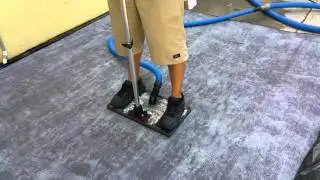 Area Rug Cleaning with pet urine